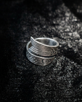 The Infinite Abundance: Circling Minnow Ring