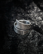 The Infinite Abundance: Circling Minnow Ring