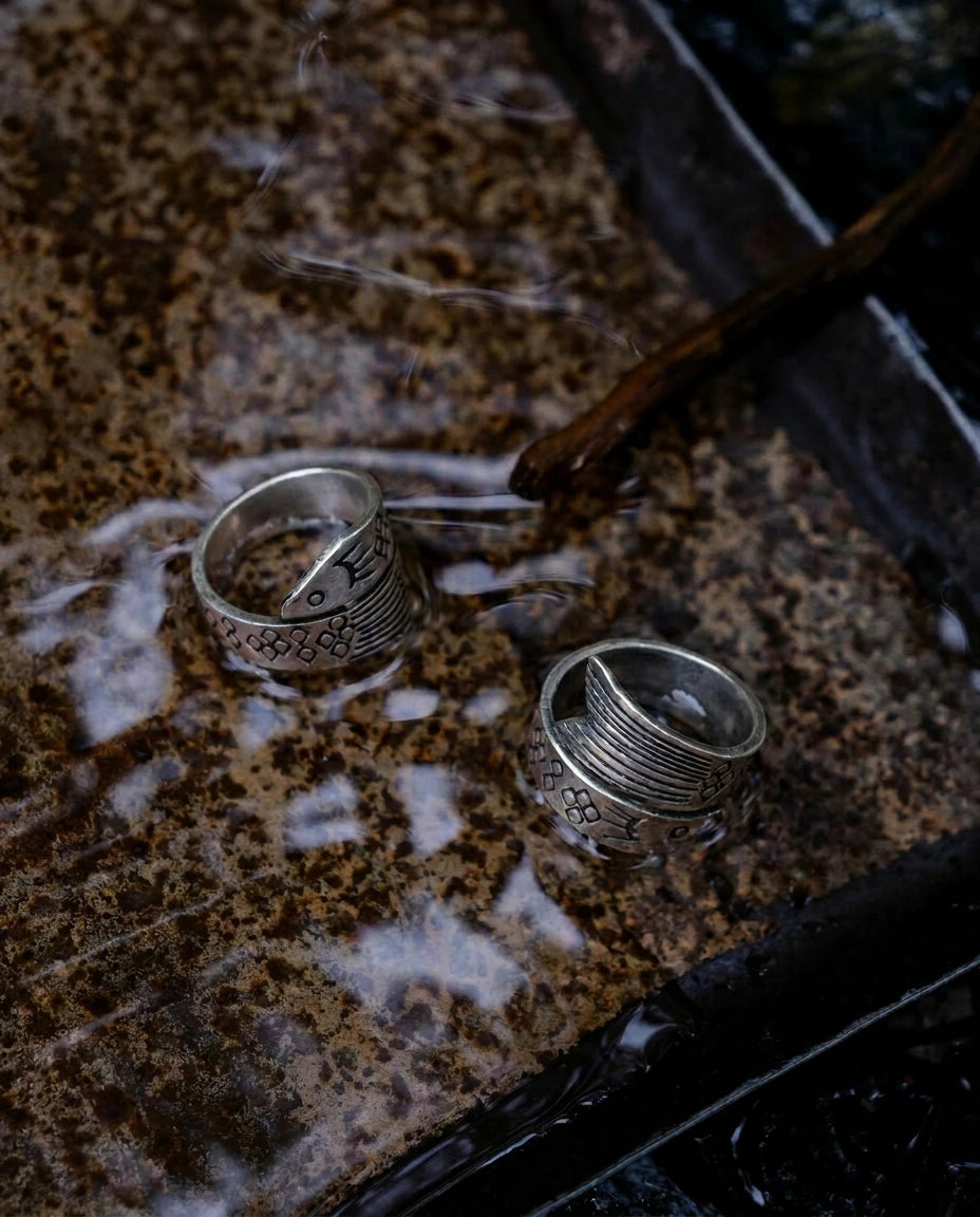 The Infinite Abundance: Circling Minnow Ring