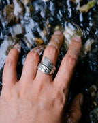 The Infinite Abundance: Circling Minnow Ring